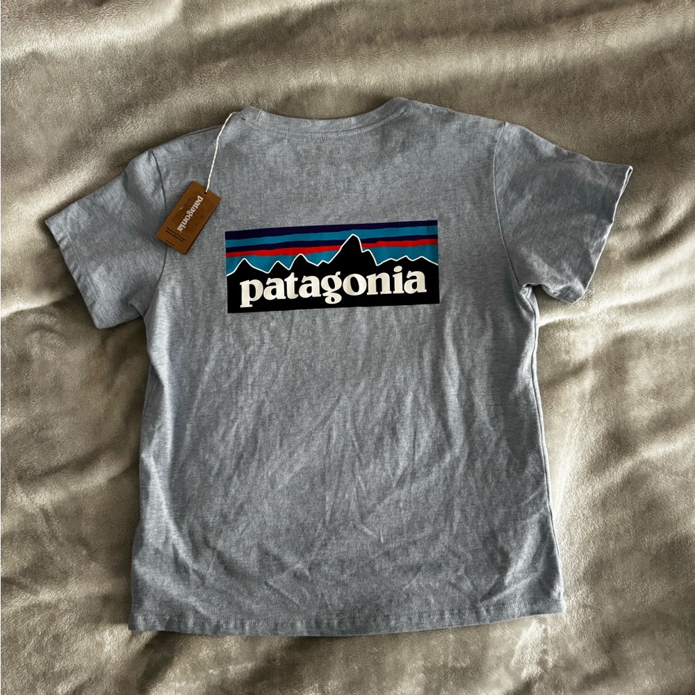 Patagonia Light Blue and Black Logo Tee